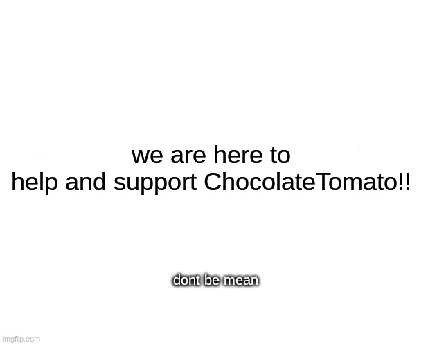 WE ARE HERE TO HELP!!! |  we are here to help and support ChocolateTomato!! dont be mean | image tagged in memes,marked safe from | made w/ Imgflip meme maker
