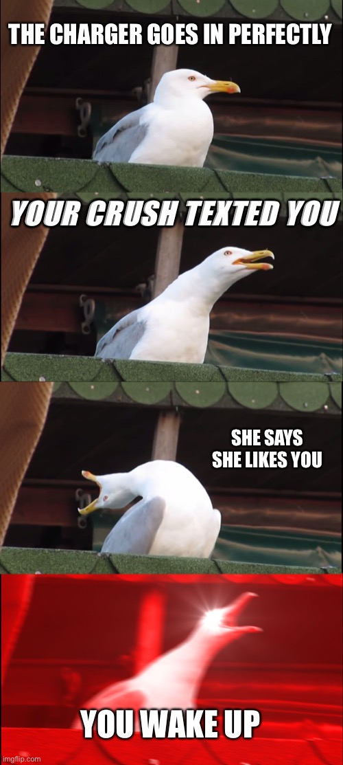 Inhaling Seagull Meme | THE CHARGER GOES IN PERFECTLY; YOUR CRUSH TEXTED YOU; SHE SAYS SHE LIKES YOU; YOU WAKE UP | image tagged in memes,life | made w/ Imgflip meme maker