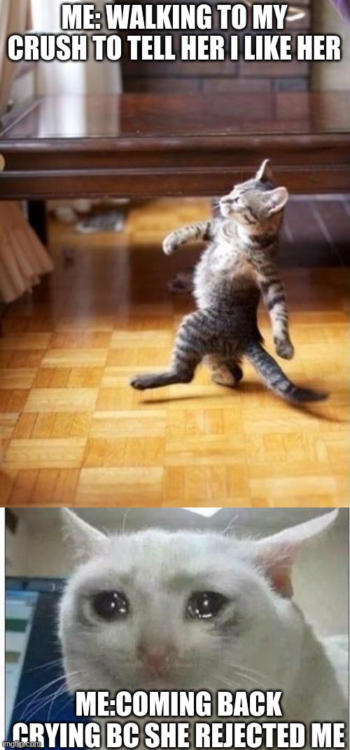 :( |  ME: WALKING TO MY CRUSH TO TELL HER I LIKE HER; ME:COMING BACK CRYING BC SHE REJECTED ME | image tagged in memes,cool cat stroll,crying cat,real life | made w/ Imgflip meme maker