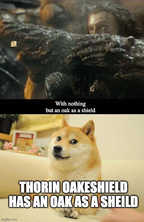 Oak and Shield | With nothing but an oak as a shield; THORIN OAKESHIELD HAS AN OAK AS A SHEILD | image tagged in memes,doge 2 | made w/ Imgflip meme maker