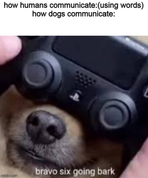 Bravo six going bark | how humans communicate:(using words)
how dogs communicate: | image tagged in bravo six going bark,memes,funny | made w/ Imgflip meme maker