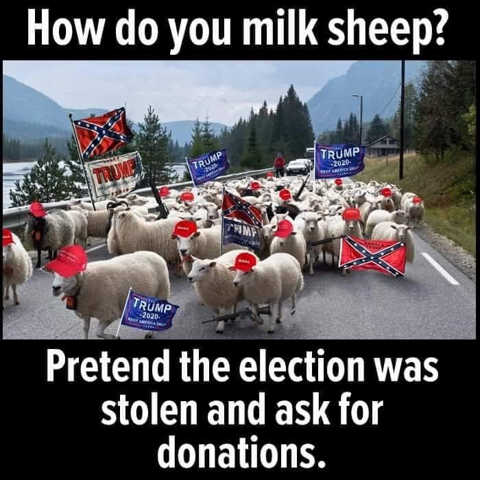 Trump supporters sheep Blank Meme Template