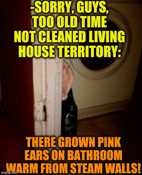 -Could be listened! | -SORRY, GUYS, TOO OLD TIME NOT CLEANED LIVING HOUSE TERRITORY:; THERE GROWN PINK EARS ON BATHROOM WARM FROM STEAM WALLS! | image tagged in big ears,pink,bathroom,magic mushrooms,mr clean,area 51 | made w/ Imgflip meme maker
