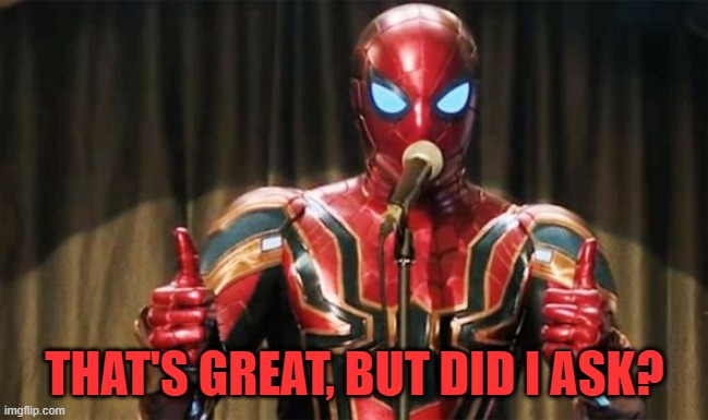 Feel free to use this to roast people. | THAT'S GREAT, BUT DID I ASK? | image tagged in spider-man thumbs up,spider-man,marvel,marvel cinematic universe,marvel comics,who asked | made w/ Imgflip meme maker