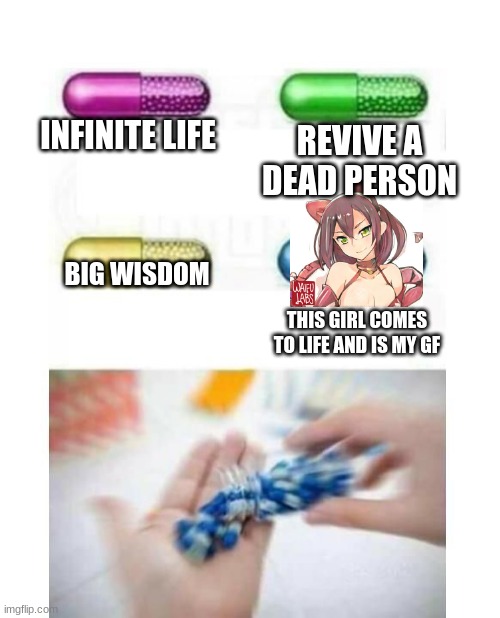 yes the catgirl is an OC i made | REVIVE A DEAD PERSON; INFINITE LIFE; BIG WISDOM; THIS GIRL COMES TO LIFE AND IS MY GF | image tagged in blank pills meme,anime,furries | made w/ Imgflip meme maker