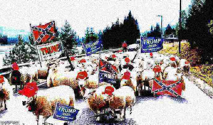 Trump sheeple deep-fried 1 Blank Meme Template