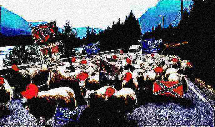 Trump sheeple deep-fried 2 Blank Meme Template