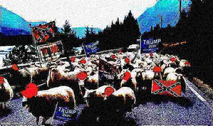 Trump sheeple deep-fried 2 | image tagged in trump sheeple deep-fried 2,sheeple,trump supporters | made w/ Imgflip meme maker