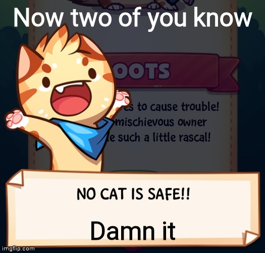 *sigh* | Now two of you know; Damn it | image tagged in no cat is safe | made w/ Imgflip meme maker