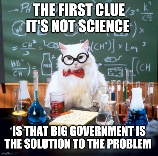 Quick, what's the average temperature of the earth when the poles are minus 140 and the deserts are plus 140? | THE FIRST CLUE IT'S NOT SCIENCE; IS THAT BIG GOVERNMENT IS THE SOLUTION TO THE PROBLEM | image tagged in memes,chemistry cat | made w/ Imgflip meme maker