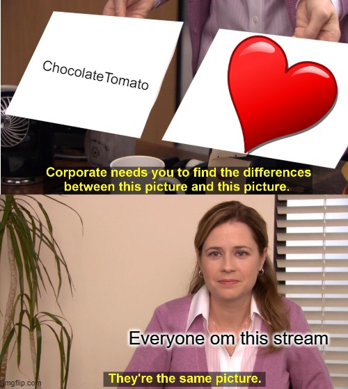 They're The Same Picture |  ChocolateTomato; Everyone om this stream | image tagged in memes,they're the same picture | made w/ Imgflip meme maker
