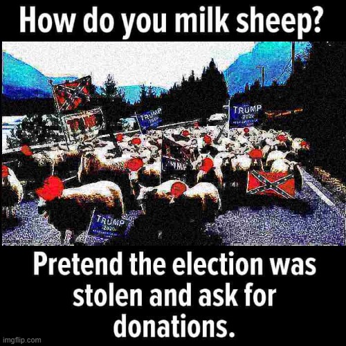 Sheep don’t give milk oh wait | image tagged in election 2020,2020 elections,trump supporters,voter fraud,sheep,sheeple | made w/ Imgflip meme maker