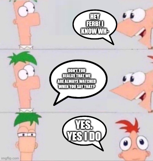 The funny ferb | HEY FERB! I KNOW WH-; DON'T YOU REALIZE THAT WE ARE ALWAYS WATCHED WHEN YOU SAY THAT? YES. YES I DO | image tagged in phineas and ferb,derp,watching | made w/ Imgflip meme maker