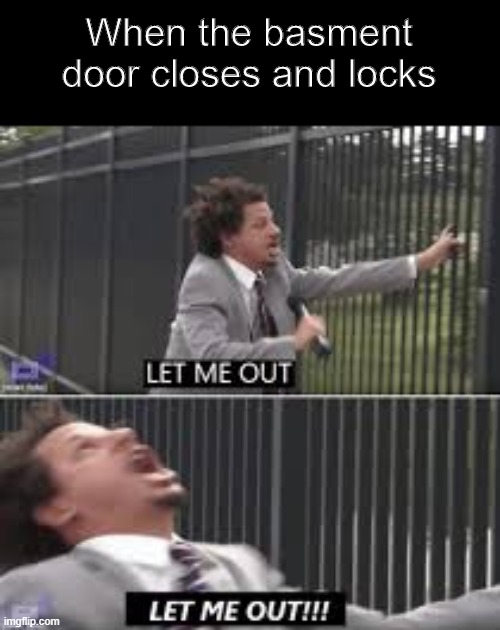 let me out | When the basment door closes and locks | image tagged in let me out,memes | made w/ Imgflip meme maker