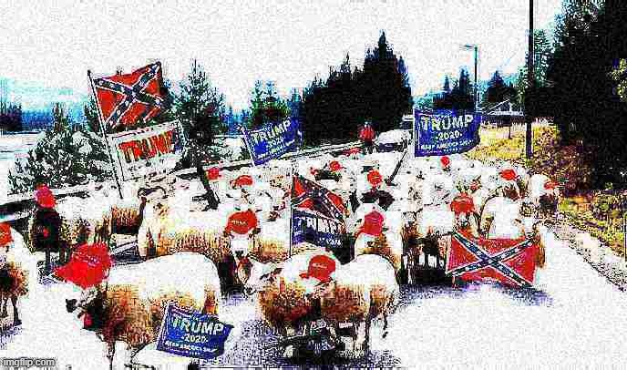 Trump sheeple deep-fried 1 | image tagged in trump sheeple deep-fried 1 | made w/ Imgflip meme maker