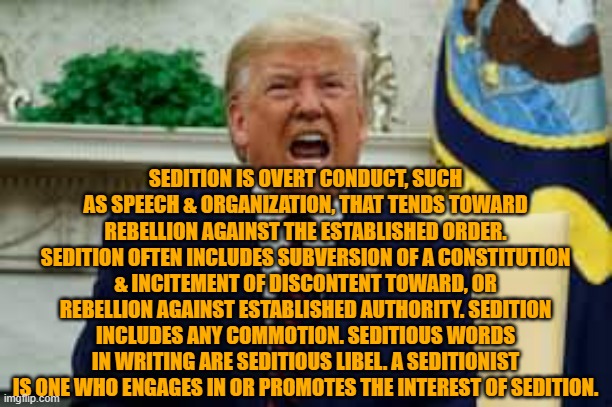 Trump is Seditious - It is Treason | SEDITION IS OVERT CONDUCT, SUCH AS SPEECH & ORGANIZATION, THAT TENDS TOWARD REBELLION AGAINST THE ESTABLISHED ORDER. SEDITION OFTEN INCLUDES SUBVERSION OF A CONSTITUTION & INCITEMENT OF DISCONTENT TOWARD, OR REBELLION AGAINST ESTABLISHED AUTHORITY. SEDITION INCLUDES ANY COMMOTION. SEDITIOUS WORDS IN WRITING ARE SEDITIOUS LIBEL. A SEDITIONIST IS ONE WHO ENGAGES IN OR PROMOTES THE INTEREST OF SEDITION. | image tagged in trump,trason,sedition,seditious | made w/ Imgflip meme maker