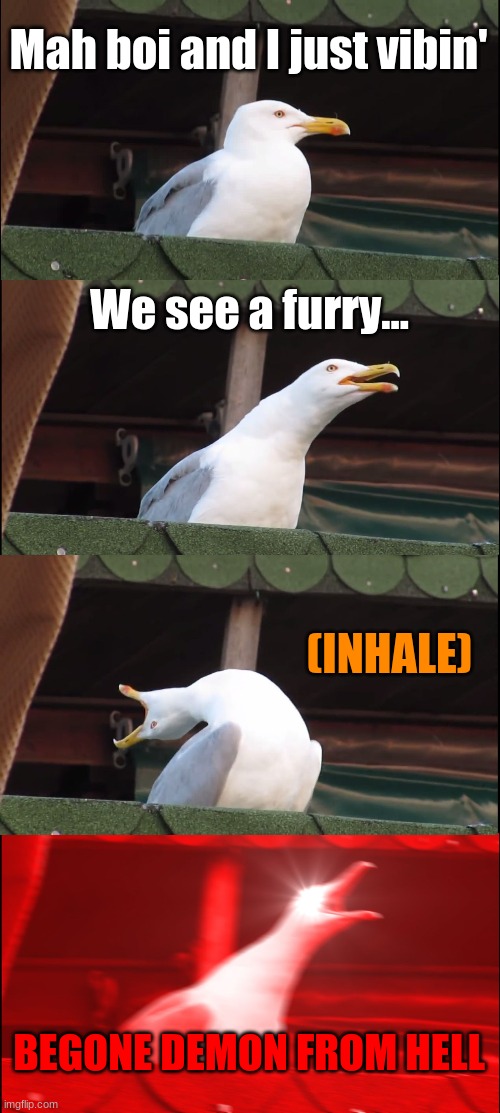 Not my proudest, but it's the truth |  Mah boi and I just vibin'; We see a furry... (INHALE); BEGONE DEMON FROM HELL | image tagged in memes,inhaling seagull | made w/ Imgflip meme maker