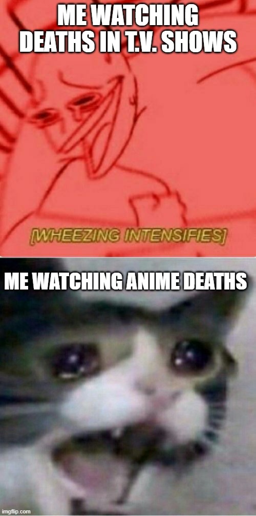 ME WATCHING DEATHS IN T.V. SHOWS; ME WATCHING ANIME DEATHS | image tagged in wheeze,crying cat | made w/ Imgflip meme maker