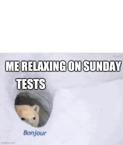 Bonjour | TESTS; ME RELAXING ON SUNDAY | image tagged in bonjour | made w/ Imgflip meme maker