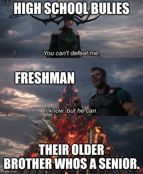 You can't defeat me | HIGH SCHOOL BULIES; FRESHMAN; THEIR OLDER BROTHER WHOS A SENIOR. | image tagged in you can't defeat me | made w/ Imgflip meme maker