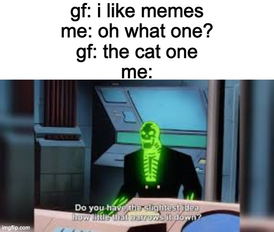 Do you?! |  gf: i like memes
me: oh what one?
gf: the cat one
me: | image tagged in blank white template,do you have the slightest idea how little,memes,cats,girlfriend | made w/ Imgflip meme maker