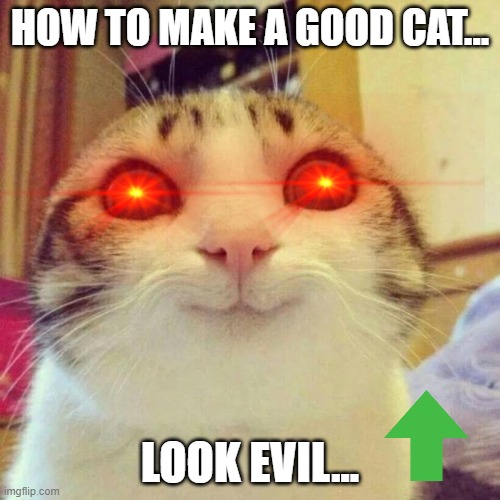 Smiling Cat Meme | HOW TO MAKE A GOOD CAT... LOOK EVIL... | image tagged in memes,smiling cat | made w/ Imgflip meme maker