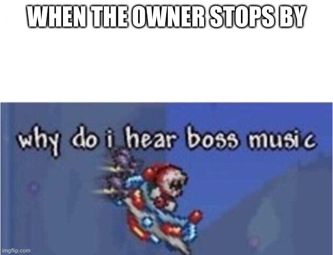 why do i hear boss music |  WHEN THE OWNER STOPS BY | image tagged in why do i hear boss music | made w/ Imgflip meme maker