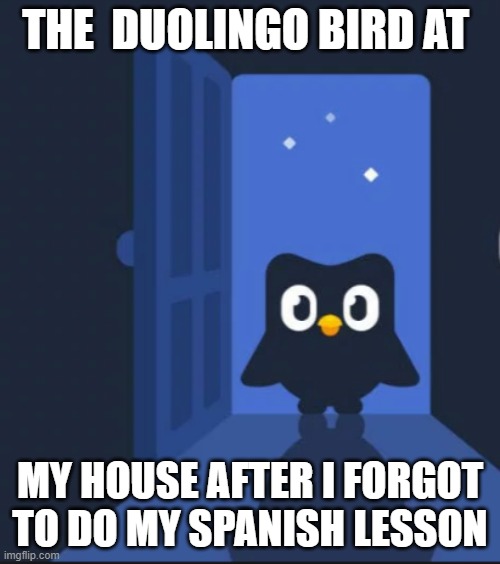 Duolingo bird | THE  DUOLINGO BIRD AT; MY HOUSE AFTER I FORGOT TO DO MY SPANISH LESSON | image tagged in duolingo bird | made w/ Imgflip meme maker