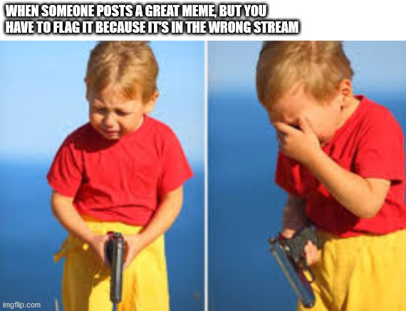 Had to do it kid | WHEN SOMEONE POSTS A GREAT MEME, BUT YOU HAVE TO FLAG IT BECAUSE IT'S IN THE WRONG STREAM | image tagged in had to do it kid | made w/ Imgflip meme maker