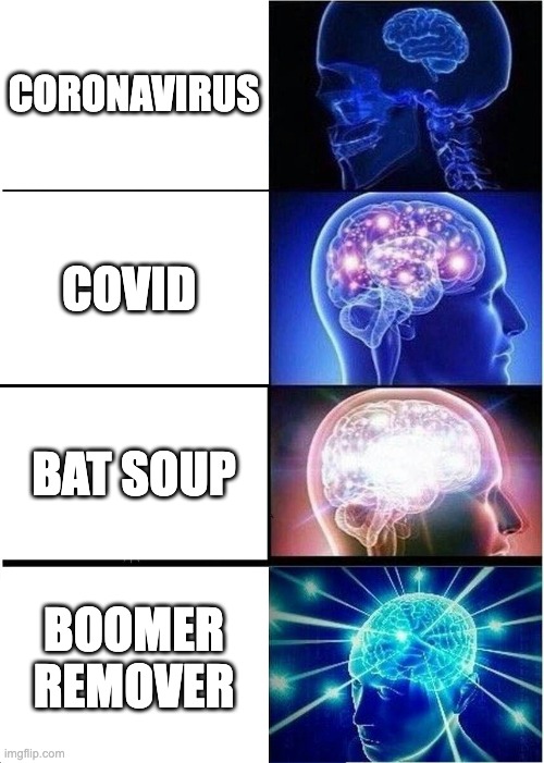 Covid 19 names | CORONAVIRUS; COVID; BAT SOUP; BOOMER REMOVER | image tagged in memes,expanding brain | made w/ Imgflip meme maker