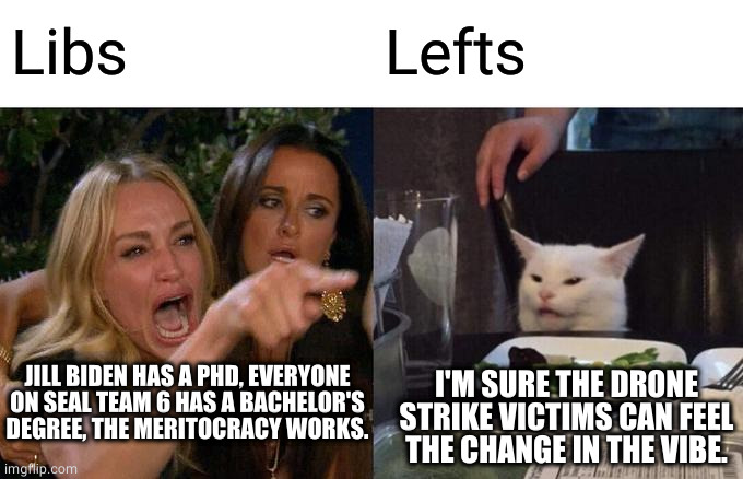 The duopoly is more the same than it is different. | Libs; Lefts; JILL BIDEN HAS A PHD, EVERYONE ON SEAL TEAM 6 HAS A BACHELOR'S DEGREE, THE MERITOCRACY WORKS. I'M SURE THE DRONE STRIKE VICTIMS CAN FEEL THE CHANGE IN THE VIBE. | image tagged in memes,woman yelling at cat,american politics,political meme | made w/ Imgflip meme maker