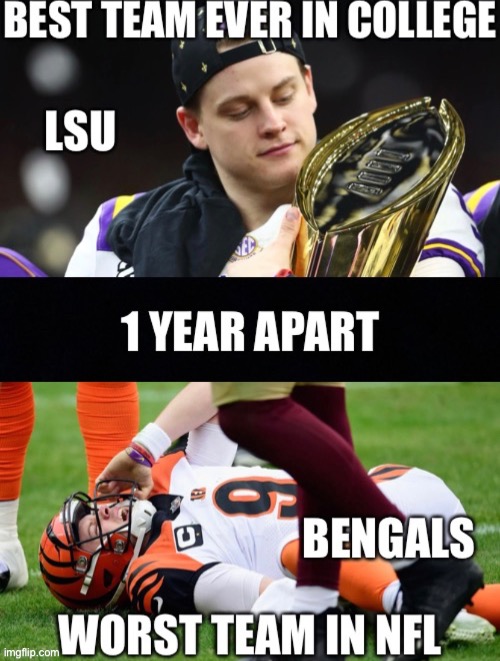 TEAM to TEAM | image tagged in cats,funny,memes,bengals,lsu,college football | made w/ Imgflip meme maker