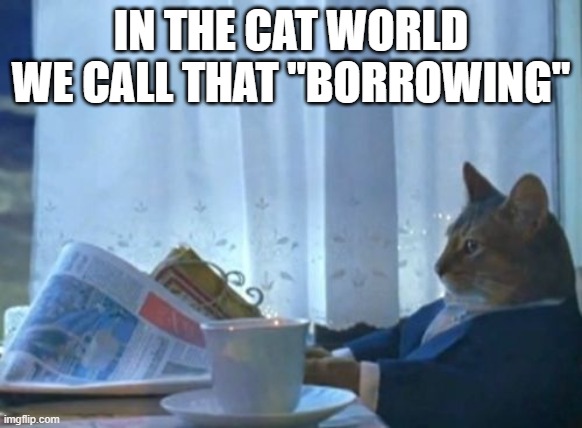 I Should Buy A Boat Cat Meme | IN THE CAT WORLD WE CALL THAT "BORROWING" | image tagged in memes,i should buy a boat cat | made w/ Imgflip meme maker