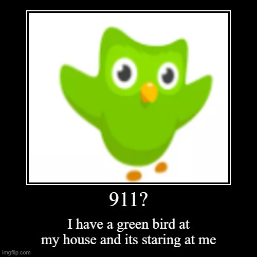 Duolingo be like | image tagged in funny,demotivationals | made w/ Imgflip demotivational maker