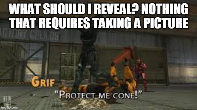 No webcam ;-; | WHAT SHOULD I REVEAL? NOTHING THAT REQUIRES TAKING A PICTURE | image tagged in protect me cone | made w/ Imgflip meme maker