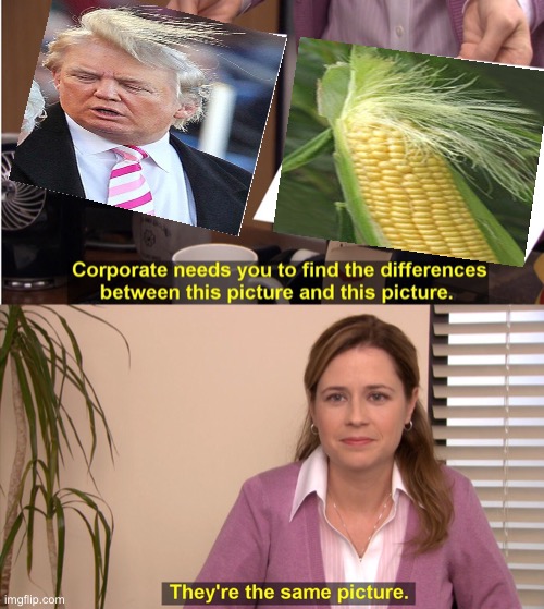 They're The Same Picture | image tagged in memes,they're the same picture | made w/ Imgflip meme maker