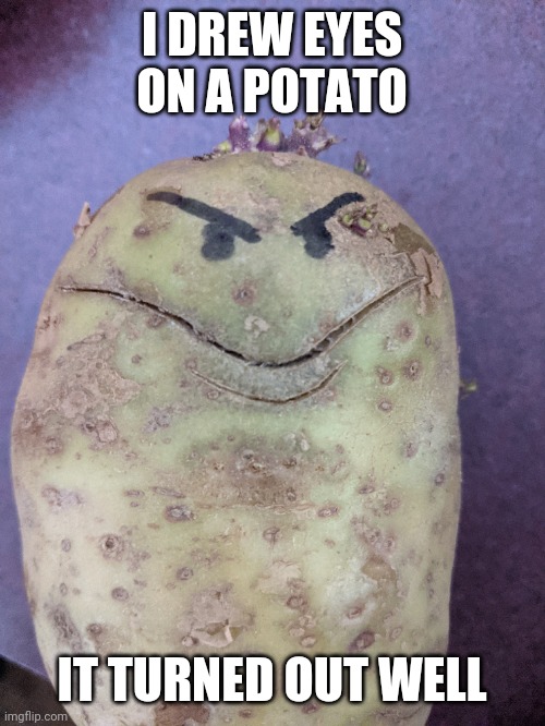 Potato's gotta potate |  I DREW EYES ON A POTATO; IT TURNED OUT WELL | image tagged in potato,memes,funny,eyes | made w/ Imgflip meme maker