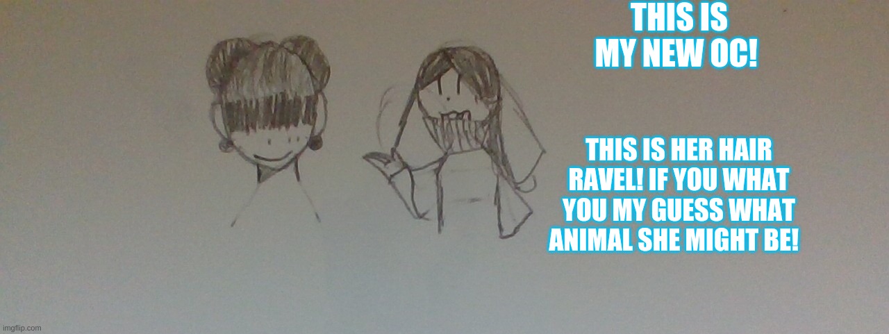 New OC! | THIS IS MY NEW OC! THIS IS HER HAIR RAVEL! IF YOU WHAT YOU MY GUESS WHAT ANIMAL SHE MIGHT BE! | image tagged in drawing,what is it,help | made w/ Imgflip meme maker
