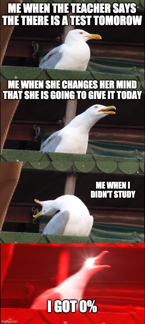 Inhaling Seagull | ME WHEN THE TEACHER SAYS THE THERE IS A TEST TOMOROW; ME WHEN SHE CHANGES HER MIND THAT SHE IS GOING TO GIVE IT TODAY; ME WHEN I DIDN'T STUDY; I GOT 0% | image tagged in memes,inhaling seagull | made w/ Imgflip meme maker