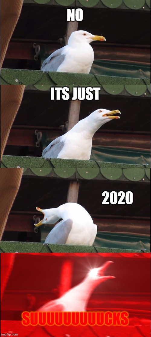 Middle Finger To 2020 | NO; ITS JUST; 2020; SUUUUUUUUUCKS | image tagged in memes,inhaling seagull | made w/ Imgflip meme maker