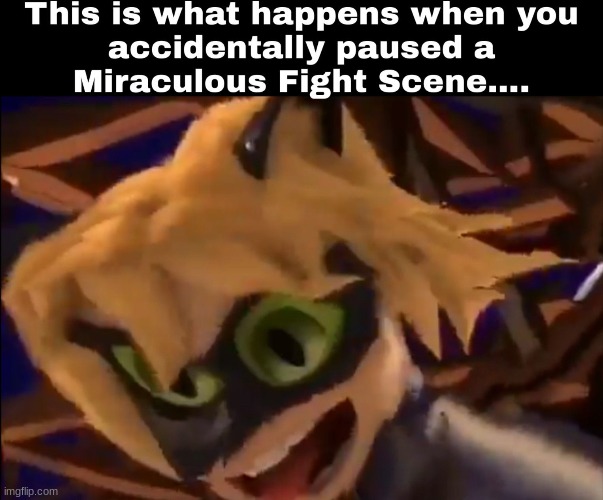 XDDDDDDDD OML CHAT ARE YOU OK? | made w/ Imgflip meme maker