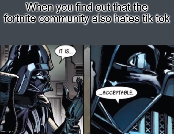 There's one good thing about that community | When you find out that the fortnite community also hates tik tok | image tagged in it is acceptable | made w/ Imgflip meme maker