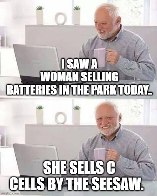 Hide the Pain Harold | I SAW A WOMAN SELLING BATTERIES IN THE PARK TODAY.. SHE SELLS C CELLS BY THE SEESAW. | image tagged in memes,hide the pain harold | made w/ Imgflip meme maker