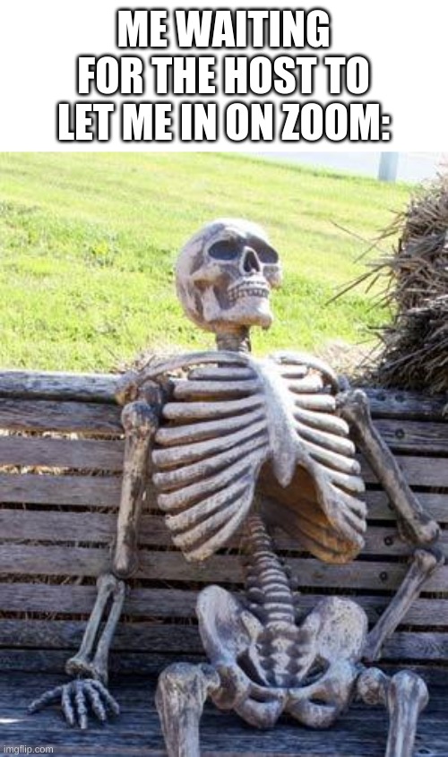 I'm still waiting as I'm making this meme | ME WAITING FOR THE HOST TO LET ME IN ON ZOOM: | image tagged in memes,waiting skeleton,funny | made w/ Imgflip meme maker