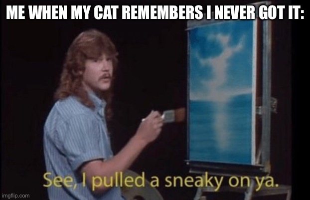 I pulled a sneaky | ME WHEN MY CAT REMEMBERS I NEVER GOT IT: | image tagged in i pulled a sneaky | made w/ Imgflip meme maker