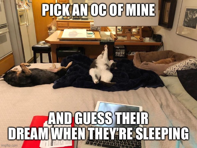 Dreamland | PICK AN OC OF MINE; AND GUESS THEIR DREAM WHEN THEY’RE SLEEPING | image tagged in dreamland | made w/ Imgflip meme maker
