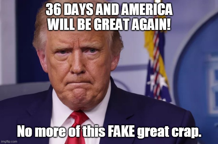 36 days and america will be great again! | 36 DAYS AND AMERICA WILL BE GREAT AGAIN! No more of this FAKE great crap. | image tagged in trumptard | made w/ Imgflip meme maker