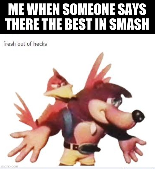 Banjo doesn't care and neither should you | ME WHEN SOMEONE SAYS THERE THE BEST IN SMASH | image tagged in banjo fresh out of hecks,super smash brothers,banjo | made w/ Imgflip meme maker