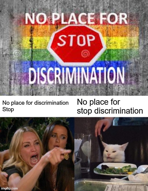 No place for discrimination
Stop; No place for stop discrimination | image tagged in memes,woman yelling at cat | made w/ Imgflip meme maker