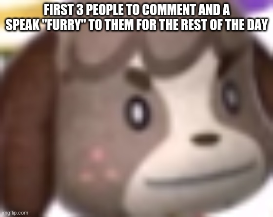 OwO | FIRST 3 PEOPLE TO COMMENT AND A SPEAK "FURRY" TO THEM FOR THE REST OF THE DAY | image tagged in digby wtf | made w/ Imgflip meme maker